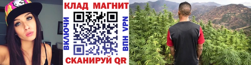 Купить закладку Гашиш  МАРИХУАНА  Alpha-PVP  Мефедрон  КОКАИН  Семилуки