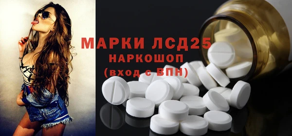 PSILOCYBIN Алзамай