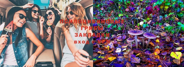 PSILOCYBIN Алзамай